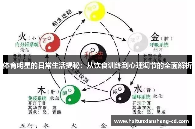 体育明星的日常生活揭秘：从饮食训练到心理调节的全面解析